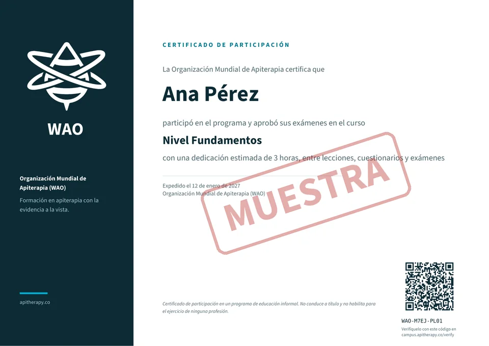 Así se ve su certificado de participación. Cualquiera lo verifica con el código o el QR.