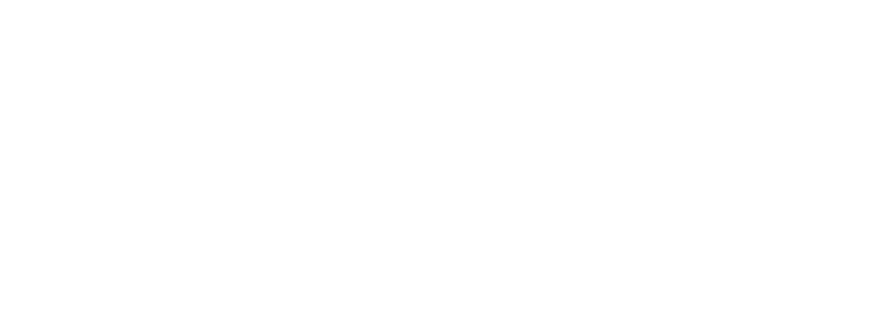 Organización Mundial de Apiterapia (WAO)